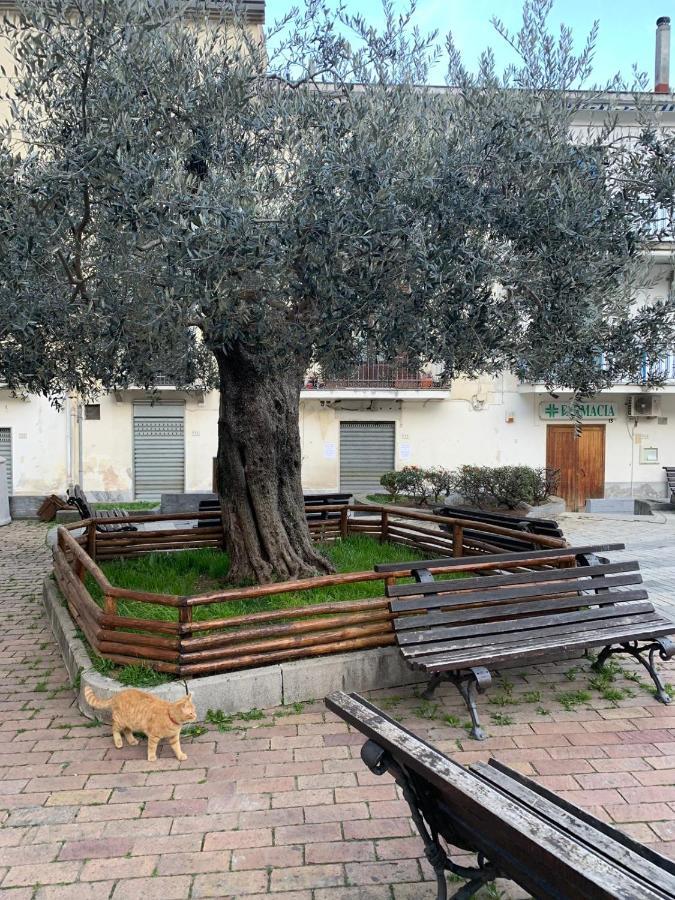 B&B Il Vicoletto Olevano sul Tusciano Eksteriør billede